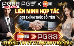 Thông Tin Về Liên Minh Hợp Tác