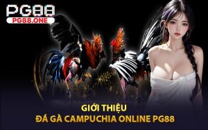 Giới Thiệu Đá Gà Campuchia Online PG88